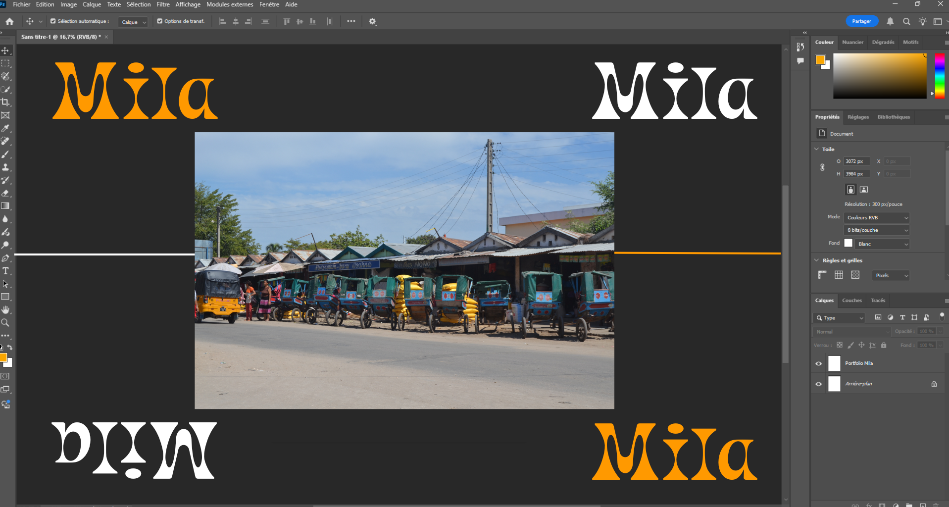 L'Insaisissable Tutuc Malgache